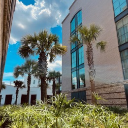 Did you know Foundry Point is offering ONE-MONTH FREE when you sign a 12-15 month lease?!
Find out how to take advantage of this offer! 
#chs #charleston #chsliving #apartmentliving Instagram post from @foundryapts on July 11, 2024 13:26:06pm
